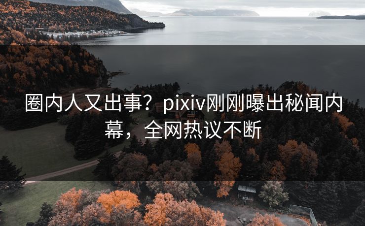 圈内人又出事？pixiv刚刚曝出秘闻内幕，全网热议不断