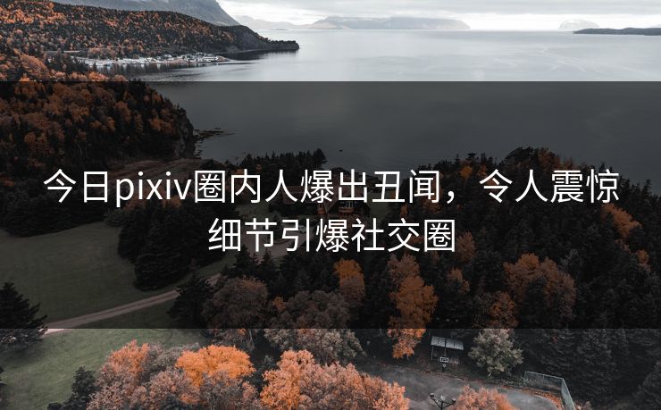 今日pixiv圈内人爆出丑闻，令人震惊细节引爆社交圈