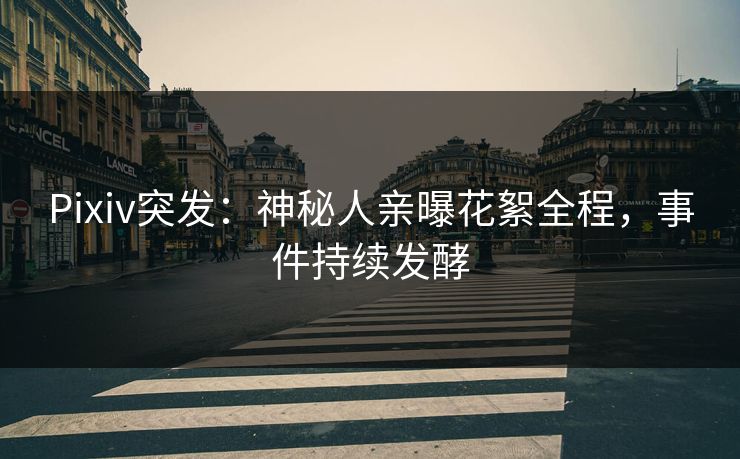 Pixiv突发：神秘人亲曝花絮全程，事件持续发酵