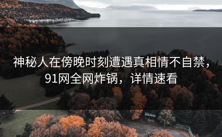 神秘人在傍晚时刻遭遇真相情不自禁，91网全网炸锅，详情速看