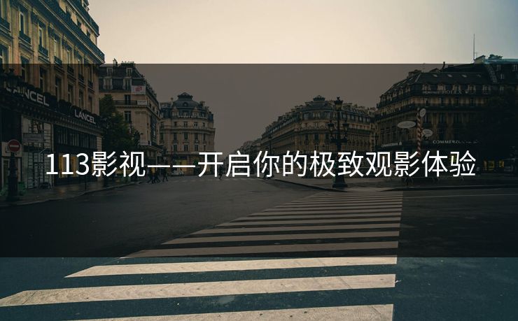 113影视——开启你的极致观影体验