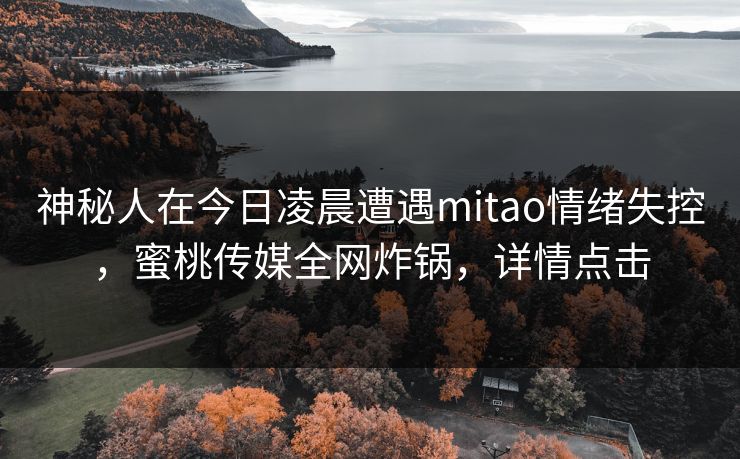 神秘人在今日凌晨遭遇mitao情绪失控，蜜桃传媒全网炸锅，详情点击