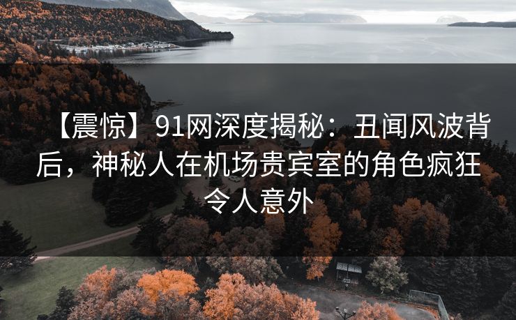 【震惊】91网深度揭秘：丑闻风波背后，神秘人在机场贵宾室的角色疯狂令人意外