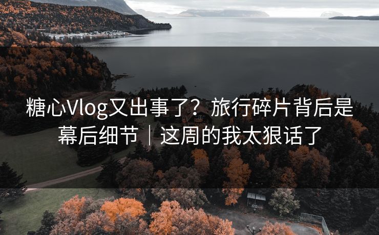 糖心Vlog又出事了？旅行碎片背后是幕后细节｜这周的我太狠话了